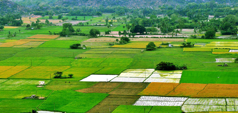 newrulesforregularisationofunapprovedandillegallayoutsintelangana