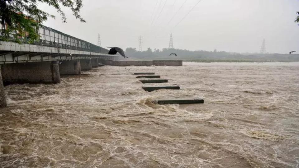 haryanaandrajasthansignmouonyamunawatersharing
