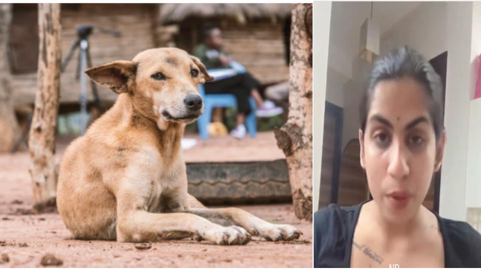 Video of Journalist quits job on Delhi stray dog issue, chops ID card