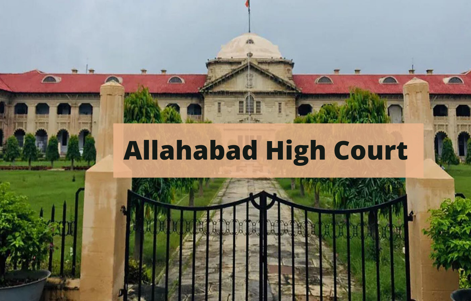 divorcedmuslimwomanentitledtomaintenanceuntilsheremarries:allahabadhc