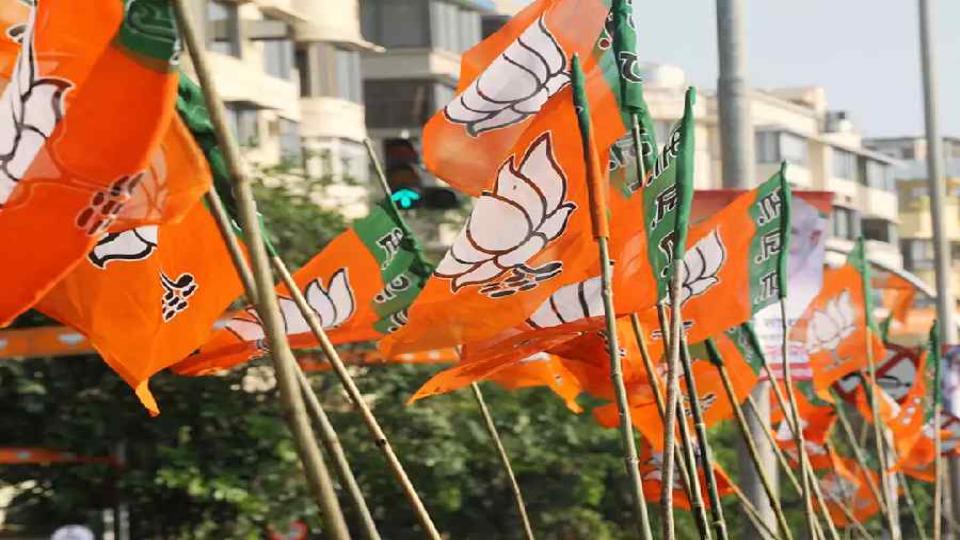 bjptolaunchcampaigntoseekpublicfeedbackformanifestoindelhi