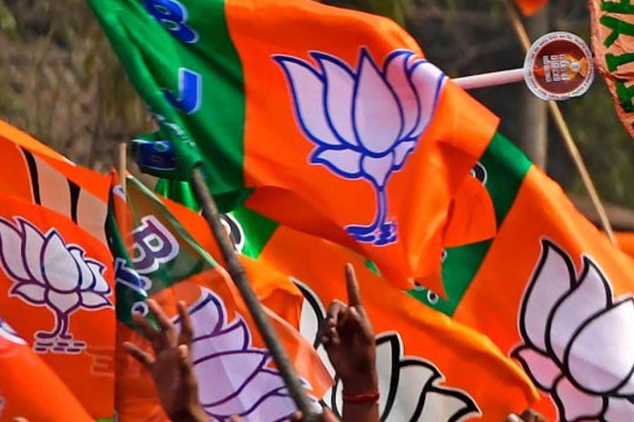 gujarat:bjpregistersmassivevictoryinlocalbodypollswinning60outof68municipalities