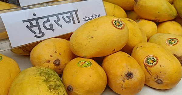 nabardorganises‘mangofestival’inbhopal