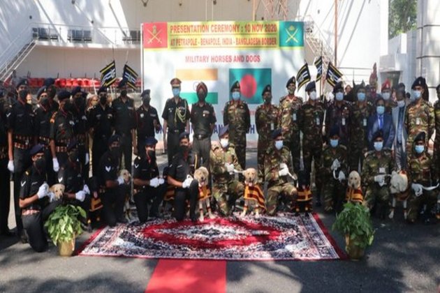 indiagifts20horsestobangladesharmy