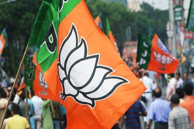 mplocalbodypolls:bjpwins7mayorpost