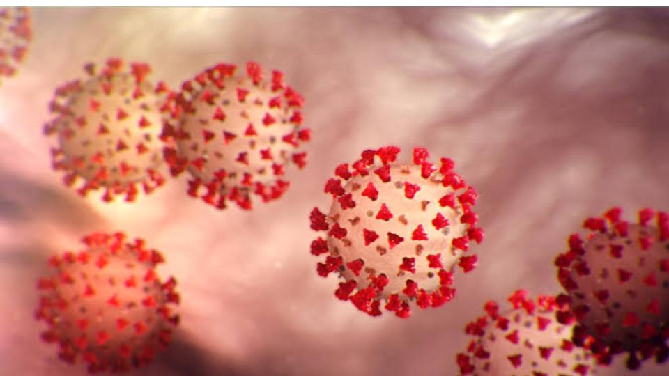 Minor Girl Tests Positive for COVID-19 in Vijayawada