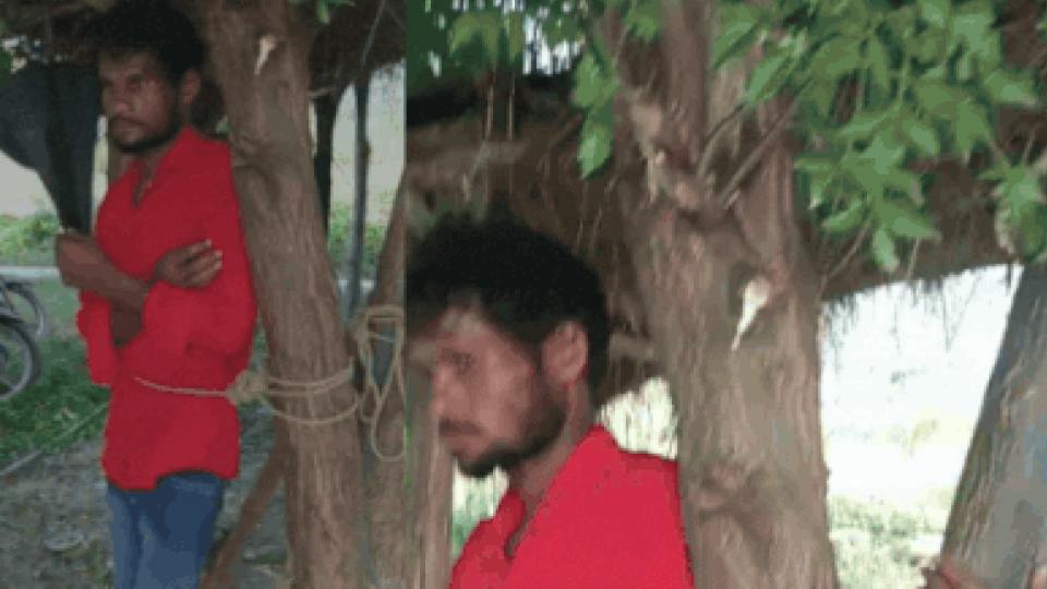 Man allegedly tied to tree, beaten by mob in UP