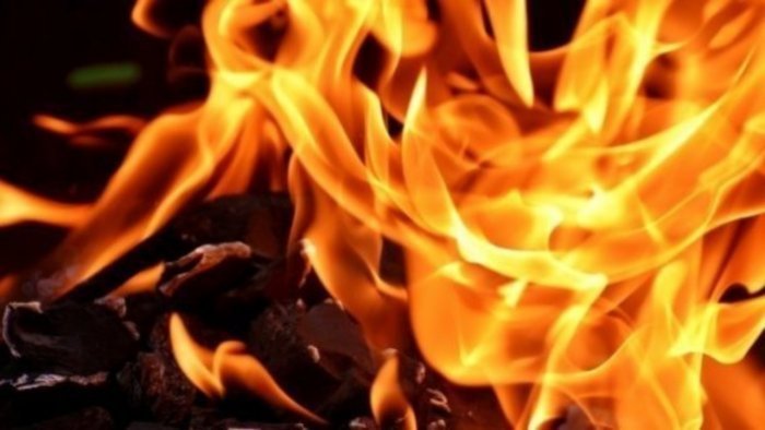 13patientsdieinprivatecovidhospitalfireinvirarmaharashtra