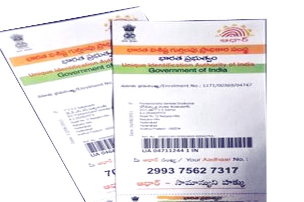 theadultresidentsinindiavoluntarilypossessuniqueidentity—aadhaar