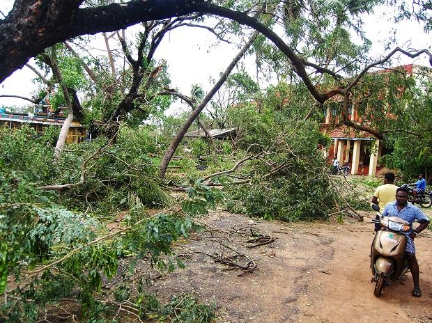 cyclonegaja:centreapprovesreleaseofrs1146crtotamilnadu