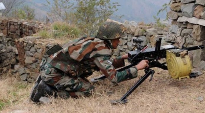 16animalsdieaspakviolatesceasefirealonglocinjksrajouripoonch