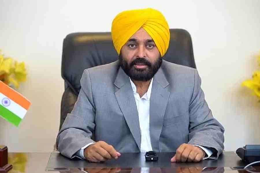 noalliancebetweenaapcongressinpunjab;sayscmbhagwantmann