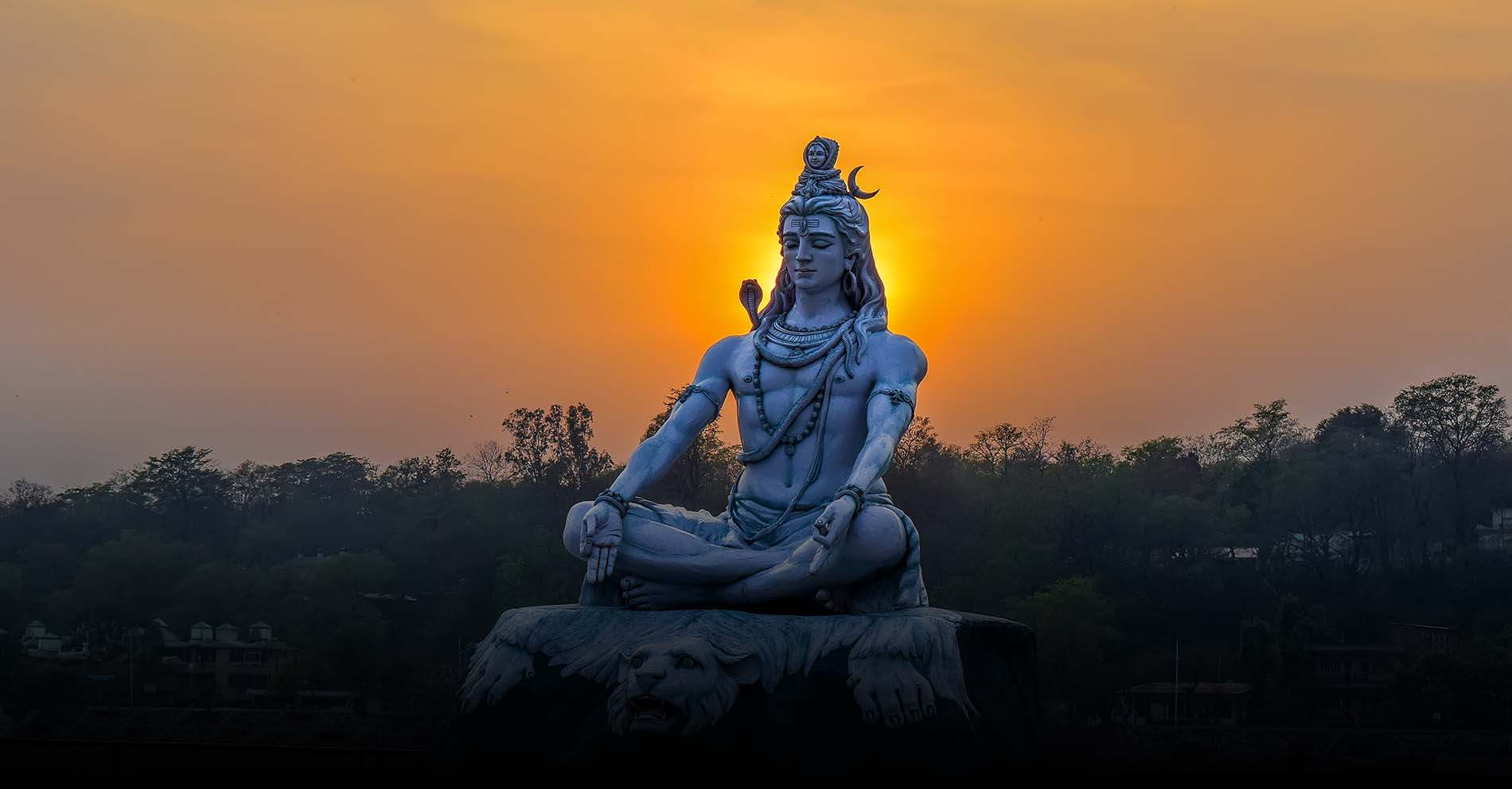 mahashivratricelebratedwithdevotionacrossindia