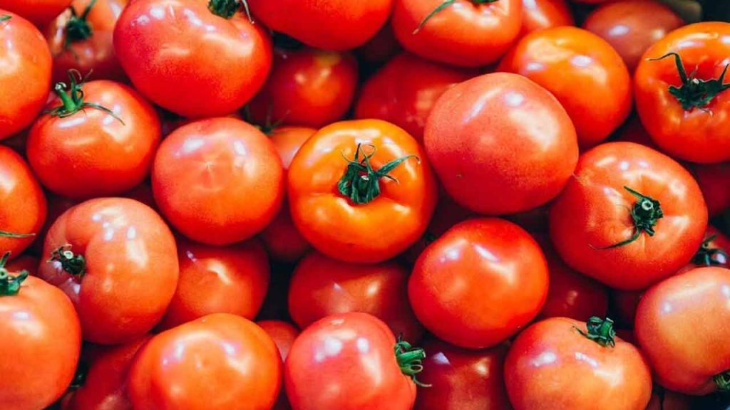 tomatosoldatrs140perkginandhrapradesh