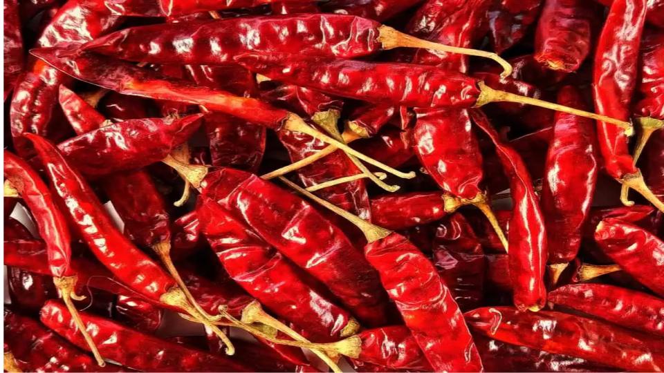 farmersofkarnatakamovingtoandhraforstoringchillies