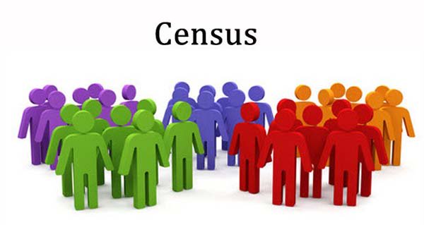 Special dedicated Web portal for self-enumeration during upcoming Census