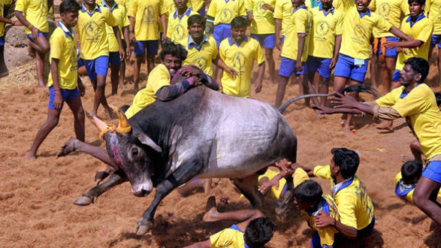 screfersjallikattumattertoconstitutionbench