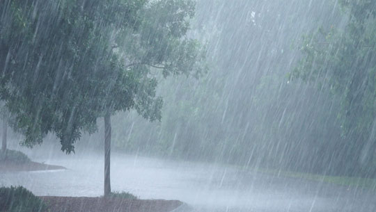 IMD forecasts heavy rainfall across Southern, Eastern, Northeastern States