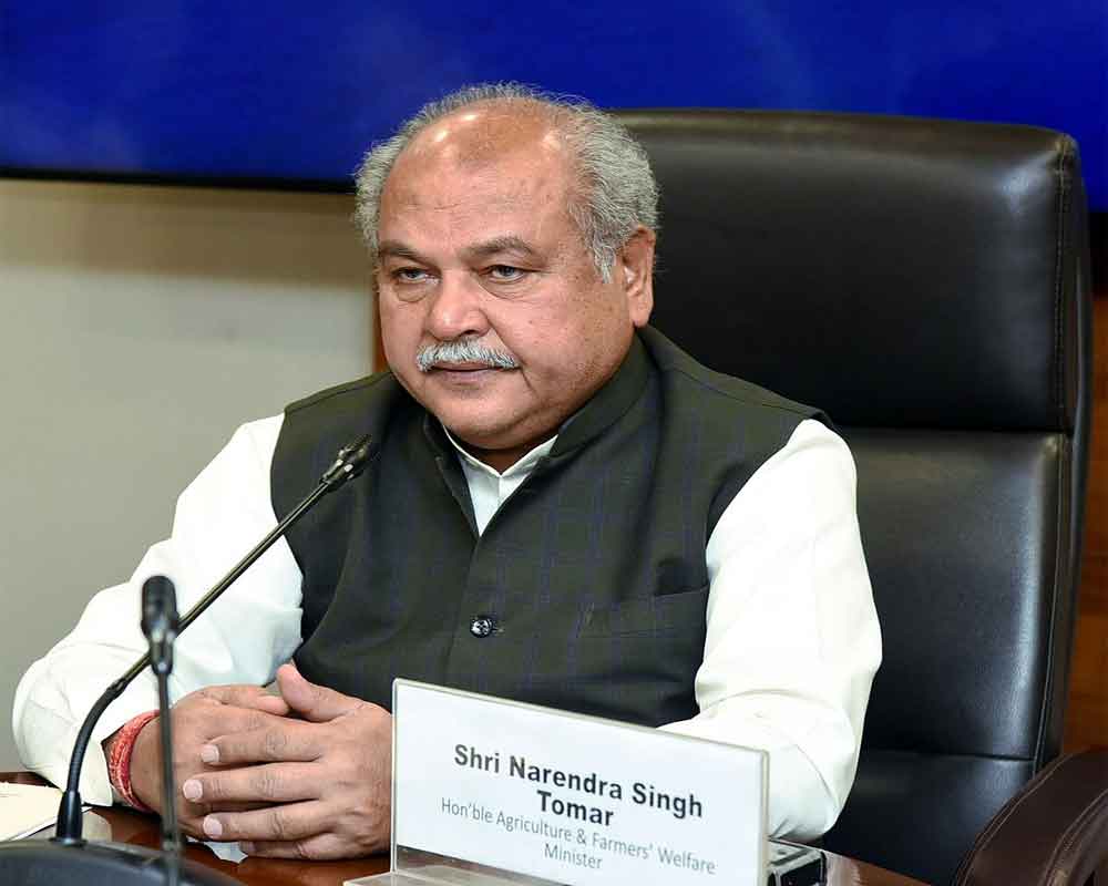 narendrasinghtomarnamedasmadhyapradeshassemblyspeaker