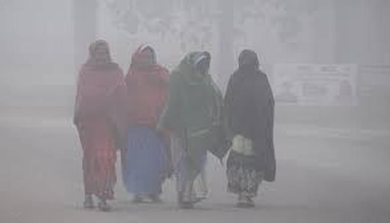 coldconditionsintensifyinrajasthan
