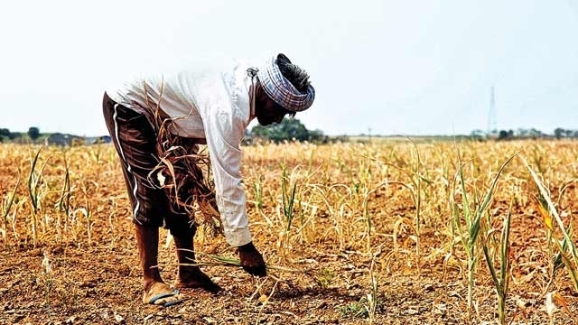 tngovtissuesordertoenabledistrictcentralcooperativebankstodisburseloanstofarmers