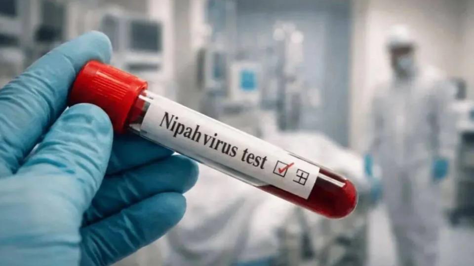 Three Persons Under Nipah Observation in Kozhikkode, Kerala