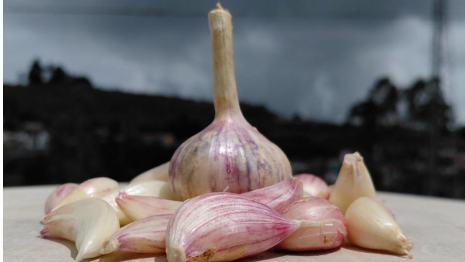 Nilgiris Vegetable Farmers Seek Cut In Garlic Commission