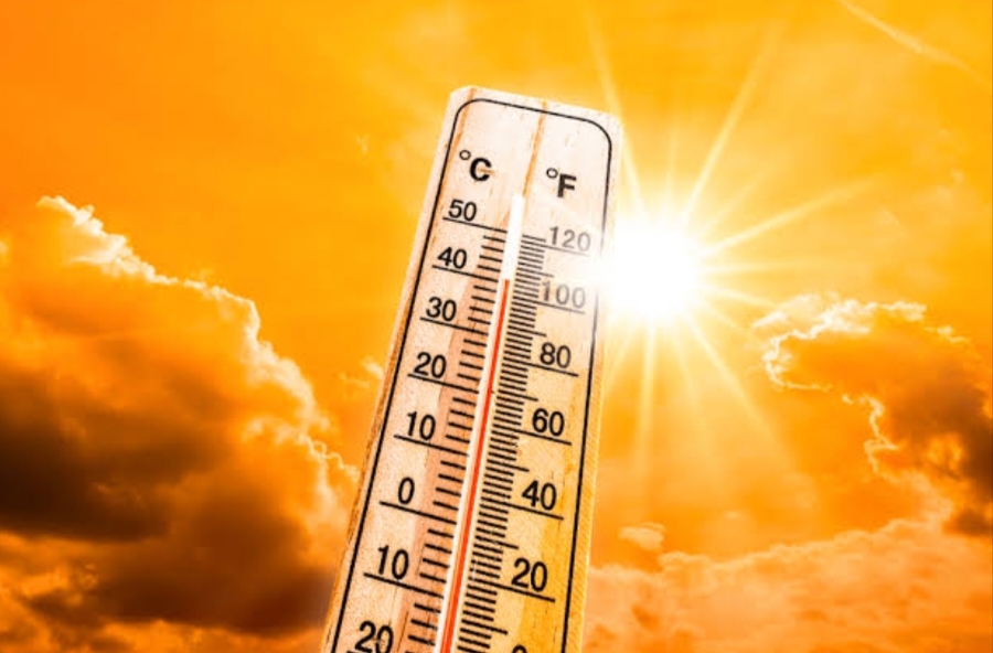 imdwarnsofheatwaveinsaurashtrakutch