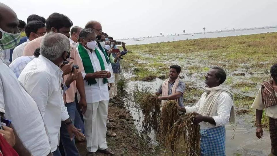 andhrapradeshgovtpaysrs1277crforpaddydamagedbyraintofarmers