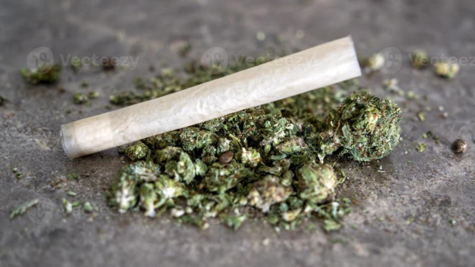 Interstate ganja smuggling network busted in Maharashtra, 5 Arrested