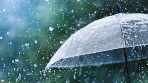 imdforecastsheavyrainfallthunderstormsinnortheast