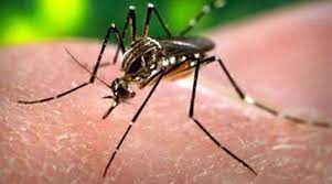 keralareportsfirstpositivecaseofzikavirus