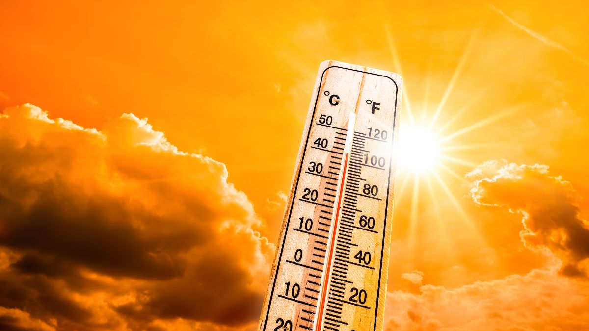 Severe Heatwave Grips Rajasthan