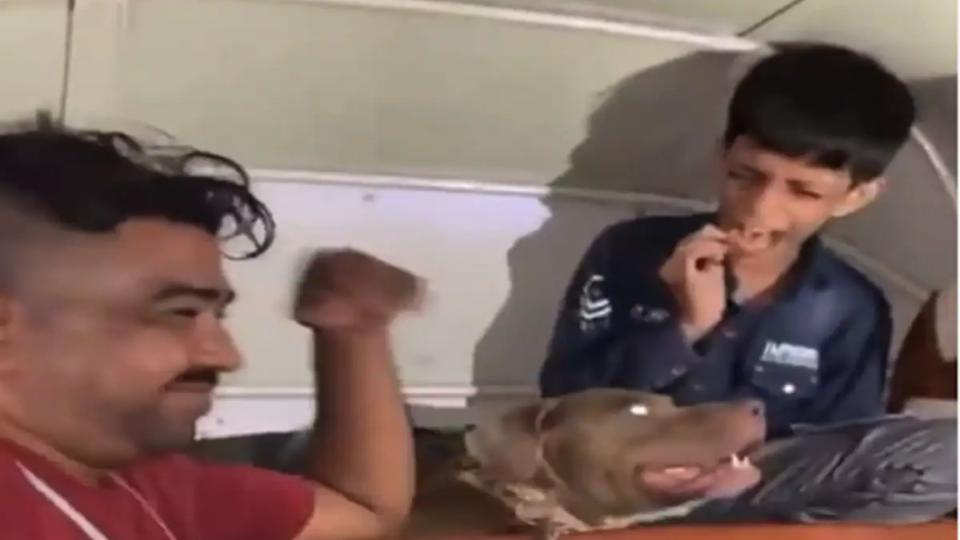 Mumbai Man Booked as Pitbull Mauls Boy While He Allegedly Laughed