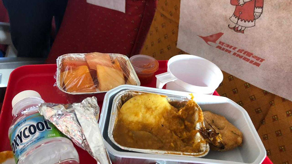 airindiaapologisesafterpassengerfindscockroachinfoodservedduringflight