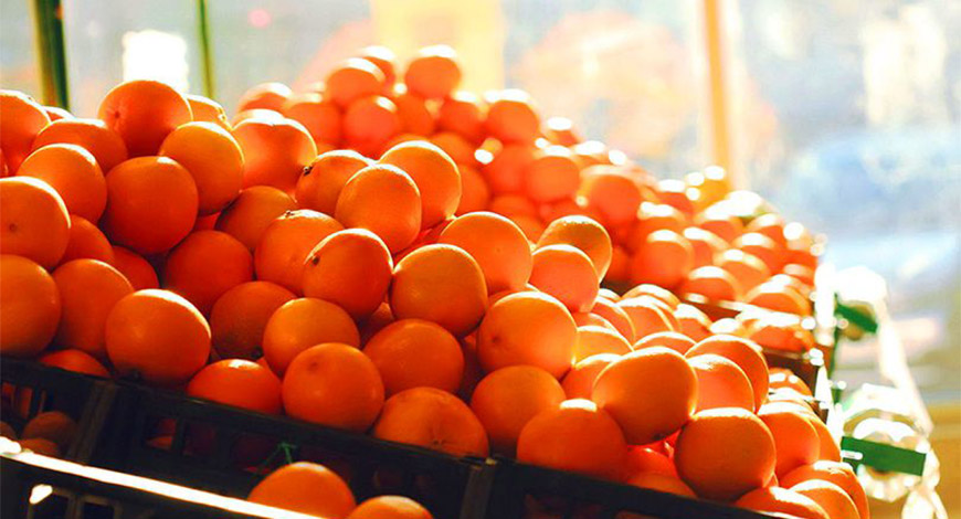 2ndworldorangefestivalbeginsinnagpurtoday