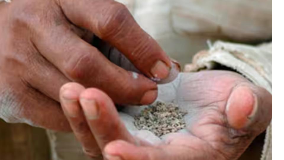 Channai Police seized 200 kg of ban gutka products