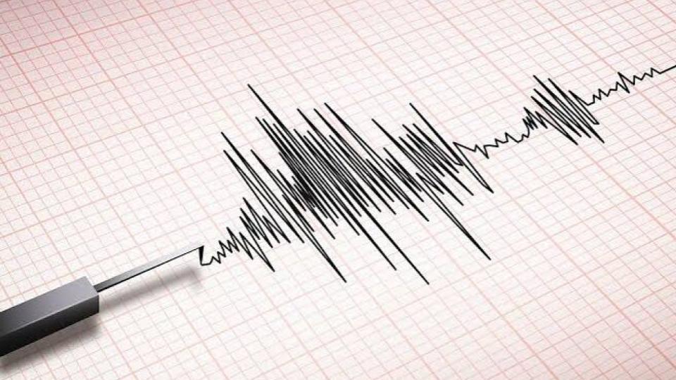 5.1 Magnitude Earthquake Hits Assam, no casualty
