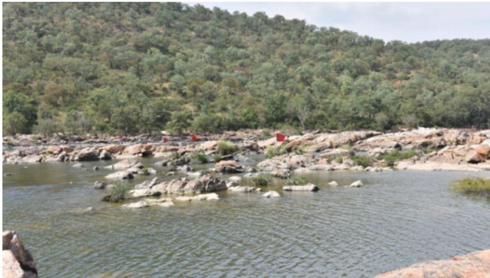tamilnaduassemblypassesresolutionagainstkarnatakasactiontobuildmekedatudam