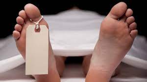 deadbodiesof6peopleofsamefamilyfoundingoinedivillageofrajasthan