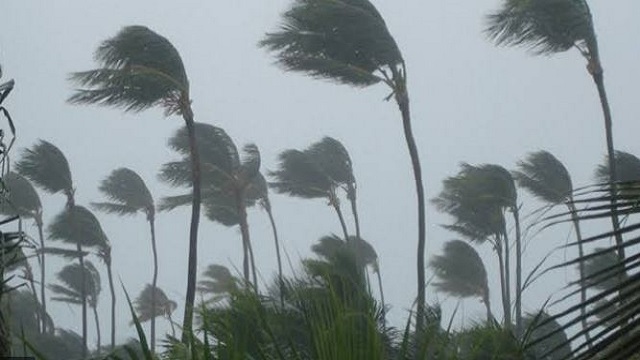 cyclone‘hamoon’intensifiesintoseverecyclonicstormovernorthwestbayofbengal