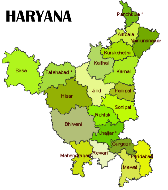 haryanarenamesmustafabadvillageassaraswatinagar
