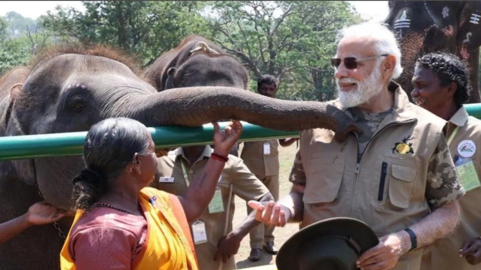 PM Modi 