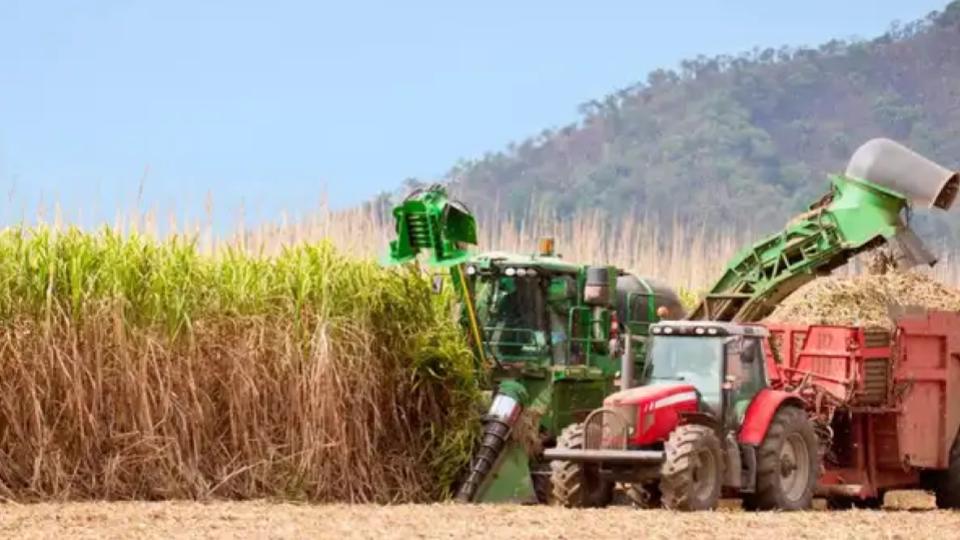 India’s first large-scale biopolymer plant in UP set for October launch