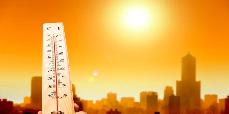 5dieofheatstrokeinmaharashtra