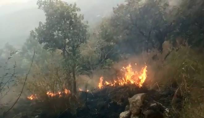 fivekilledinmajorforestfireinthenidistricttamilnadu