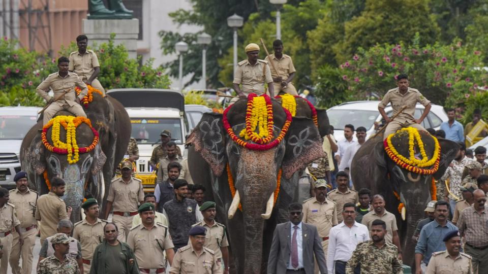 Karnataka Hands Over Six Kumki Elephants to AP