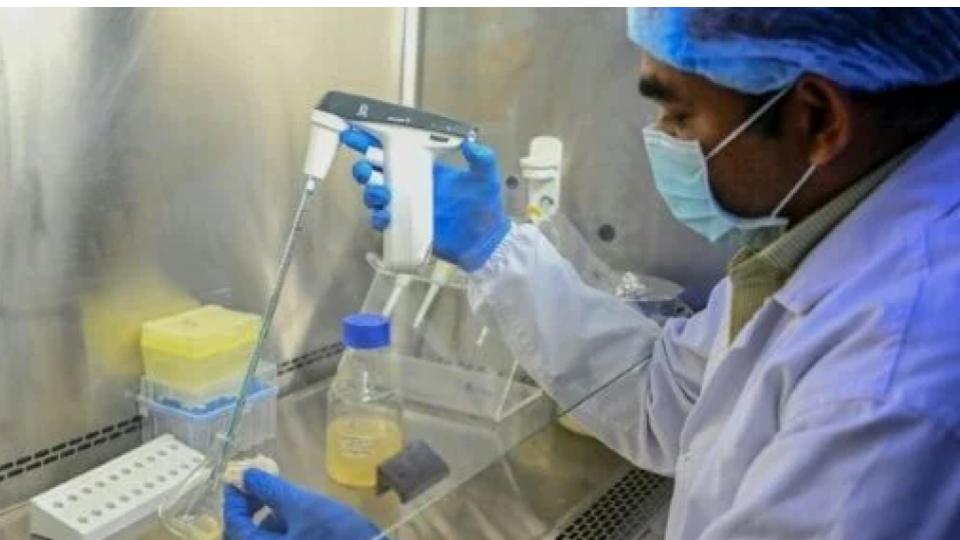 India Moves Closer To Dengue Vaccine 