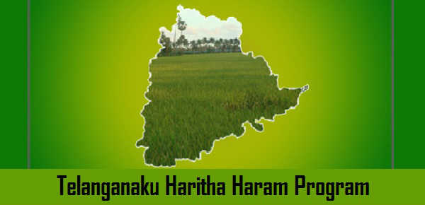 secondphaseofharithaharamtobelaunchedintelanganatoday