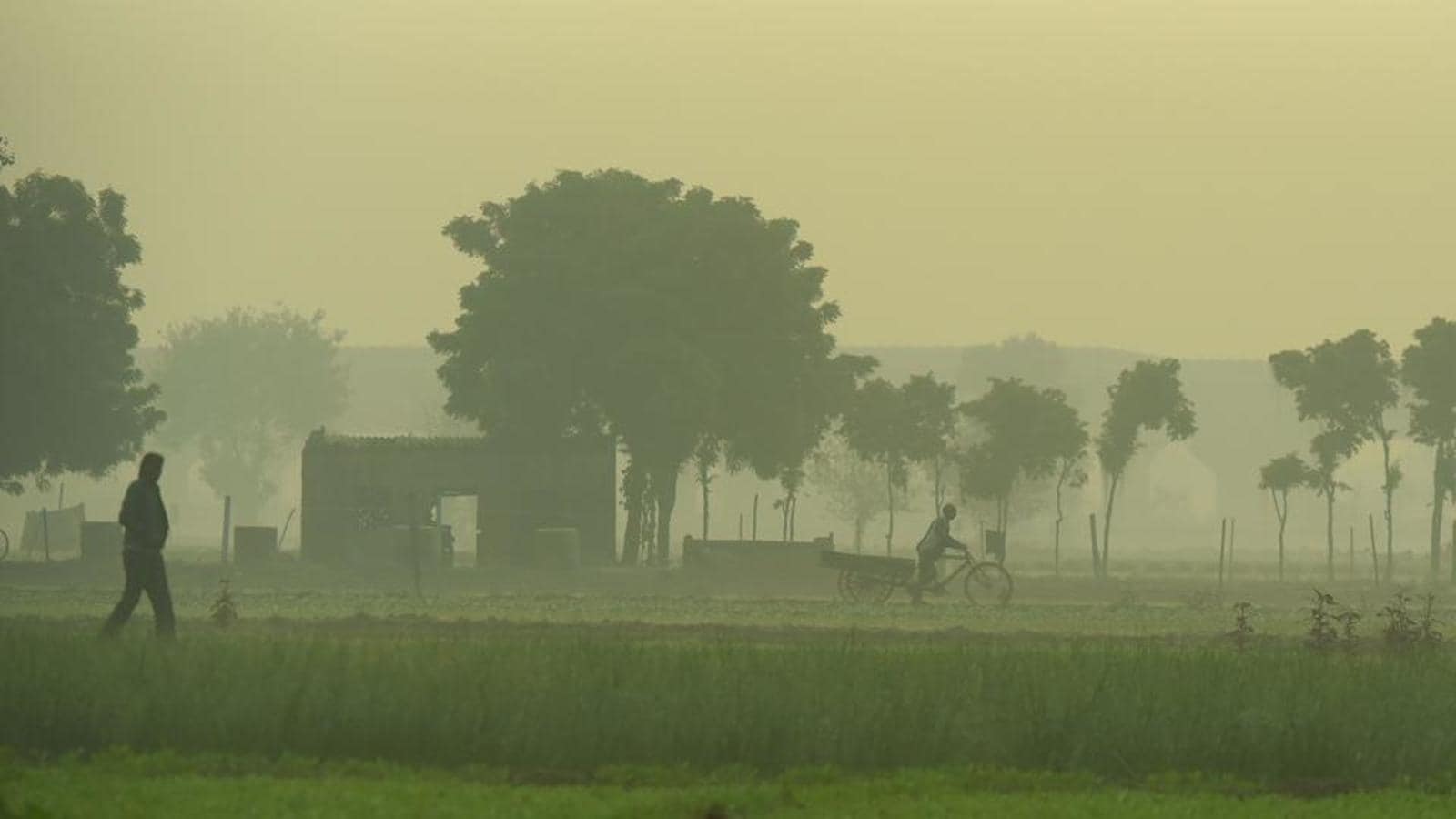delhirecordedseasonscoldestmorningtoday